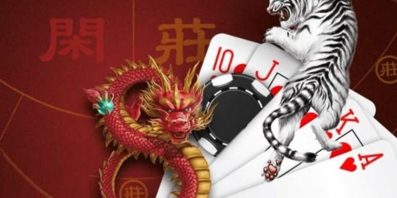 Cách chơi game bài rồng hổ tại nhà cái Suncity